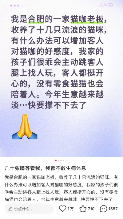 专业股票配资资讯网官网 让流浪猫“打工”赚口粮的猫咖难以为继 店主发帖求助引网友争当“云股东”_大皖新闻 | 安徽网