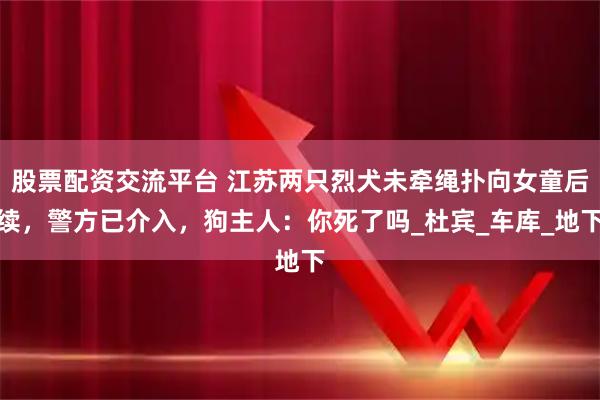 股票配资交流平台 江苏两只烈犬未牵绳扑向女童后续，警方已介入，狗主人：你死了吗_杜宾_车库_地下